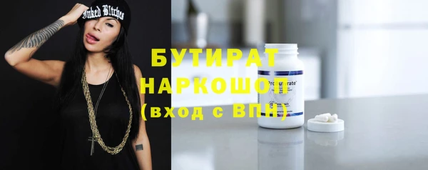 гашик Алексин