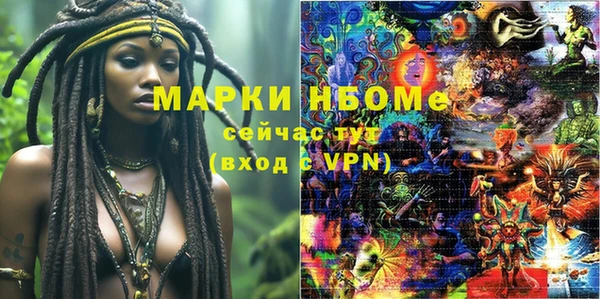 гашик Алексин