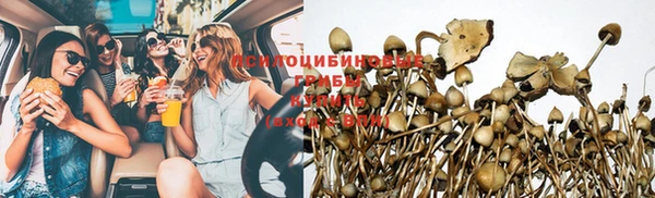 гашик Алексин