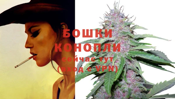 бутират Алзамай