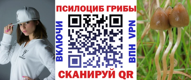 Галлюциногенные грибы мицелий  Искитим 